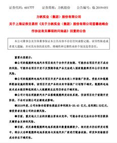 力帆股份回復(fù)上交所問詢函 開展代工服務(wù)與投資咨詢，預(yù)計新增投資超1.2億元